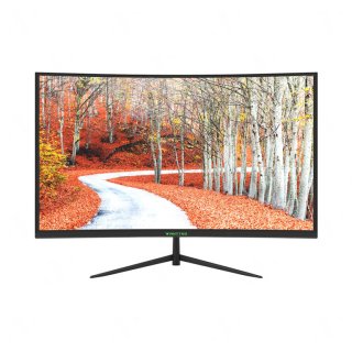Màn hình PC Cong Gaming HKC ANT-24G242 (24inch, FHD, VA, 100Hz)