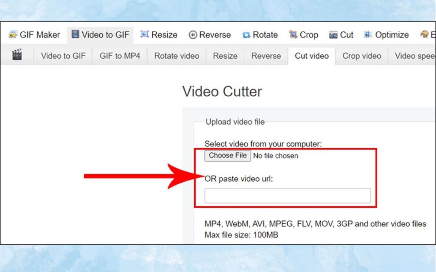 Nhấn nút “Choose File” để tải video từ máy tính lên, hoặc dán đường dẫn video vào ô URL nếu bạn muốn tải trực tiếp từ internet. (Nguồn: Internet)