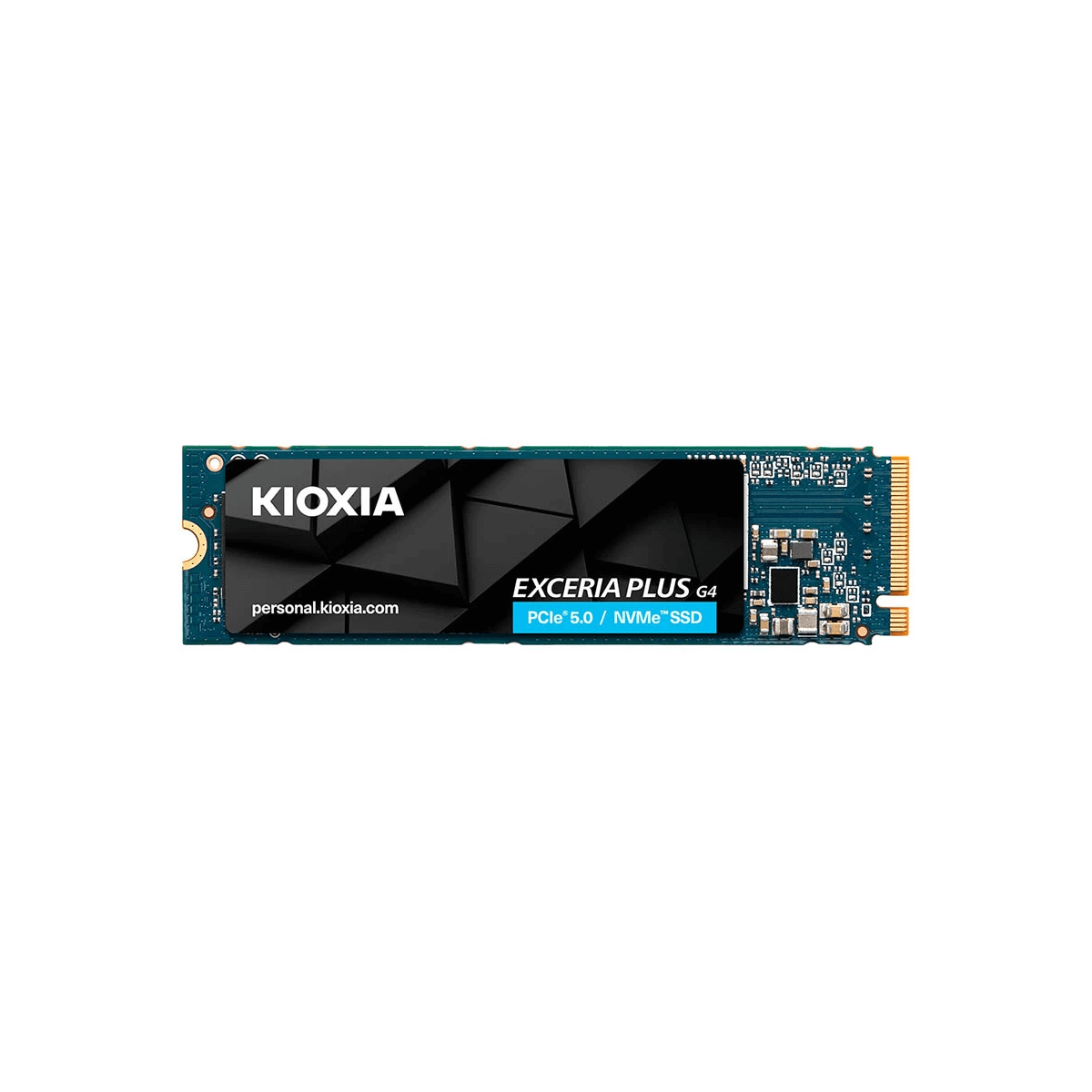 Ổ cứng SSD Kioxia 1TB Exceria G4 NVMe Gen 5.0×4 LVD10Z001TG8 (10000 MB/s – 7900MB/s)